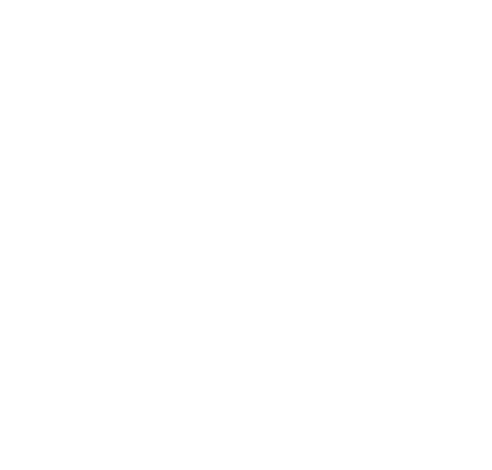 Logo Light